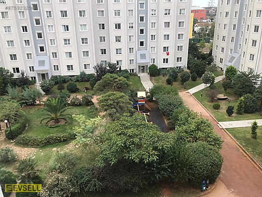 evsell den sancaktepe sardunya evleri