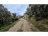 BURSA MUDANYA ÇEPNİ'DE SATILIK HOBİ BAHÇESİNE UYGUN ARAZİ