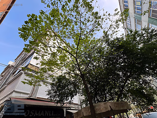 'ATMACA' BEŞİKTAŞ IHLAMUR DA BOŞ DURUMDA 2+1 KÖŞE DAİRE #1286325018