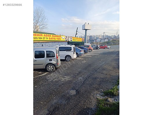 Hayvanlar Alemi / Küçükbaş Hayvanlar / Koyun