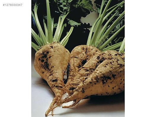 Used & Brand New Items / Foods & Feed / Fruits & Vegetables / Vegetables