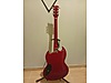 ESP Elektro Gitar