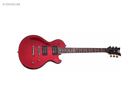 Schecter Elektro Gitar