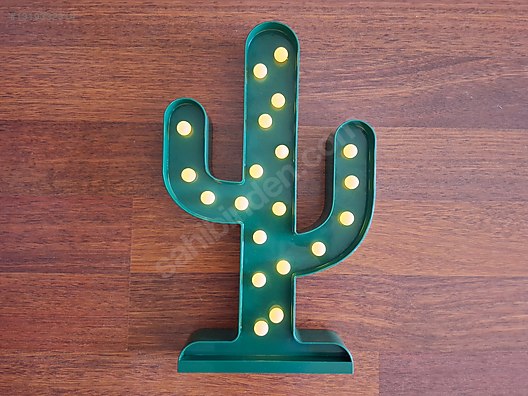 wie oft sollte man einen kaktus gieen Tipps zur Pflege deiner Pflanze : Cactus  PflanzenFuerAlle
