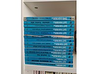 Sait Faik Abasıyanık seri