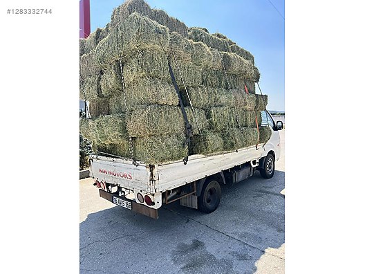 Pets & Livestock / Foods & Feeds / Small & Large Livestock / Feed