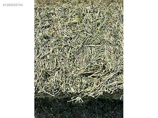 Pets & Livestock / Foods & Feeds / Small & Large Livestock / Feed