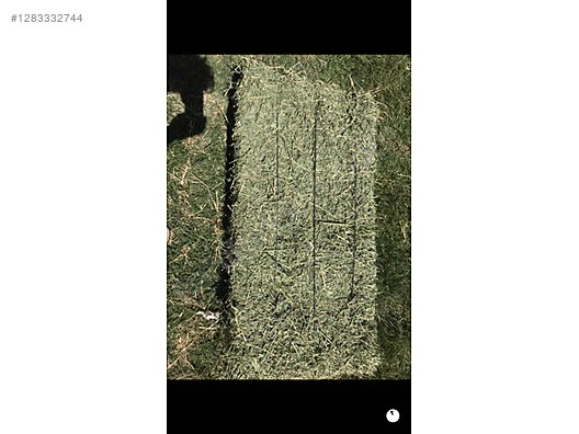 Pets & Livestock / Foods & Feeds / Small & Large Livestock / Feed