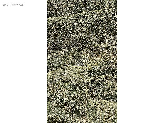 Pets & Livestock / Foods & Feeds / Small & Large Livestock / Feed