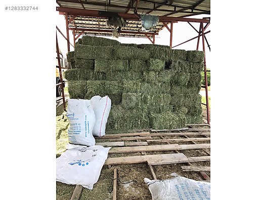 Pets & Livestock / Foods & Feeds / Small & Large Livestock / Feed