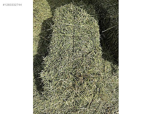 Pets & Livestock / Foods & Feeds / Small & Large Livestock / Feed