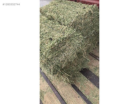 Pets & Livestock / Foods & Feeds / Small & Large Livestock / Feed