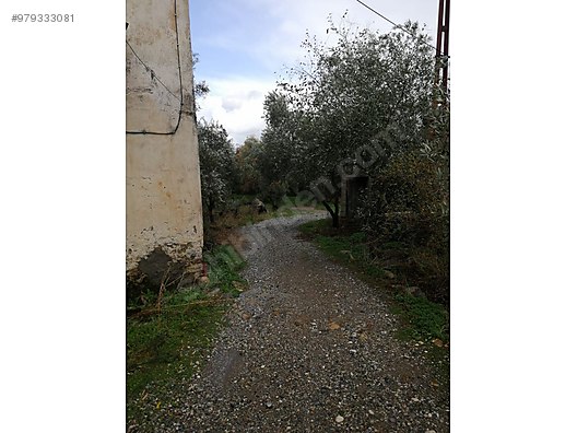satilik ev ve tarla satilik arsa ilanlari sahibinden com da 979333081