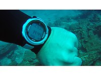 computer indicators for scuba diving