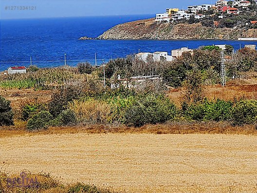BALIKESİR ERDEK POYRAZLI'DA KÖYCİVARI 14 DÖNÜM SATILIK TARLA