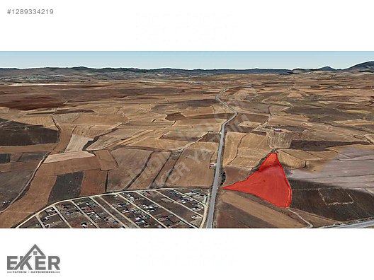 PORSUK KÖYÜNÜN EN İYİ KONUMUNDA SATILIK FIRSAT TARLA