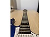 Schecter Elektro Gitar