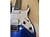 Schecter Elektro Gitar