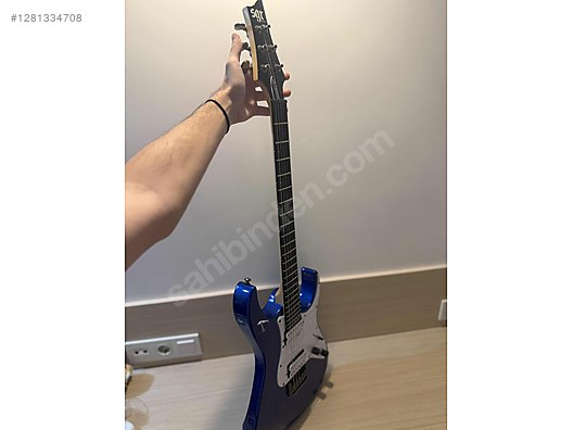 Schecter Elektro Gitar