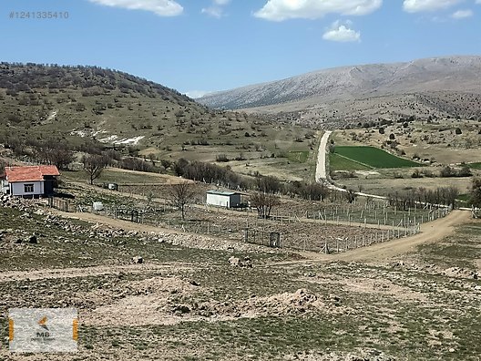 MERAM ERANKAYA'DA HUZURUN DOĞAYLA BULUŞTUĞU HOBİ BAHÇESİ #1241335410