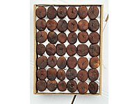 TOPTAN EXTRA JUMBO GÜN KURUSU KAYISI