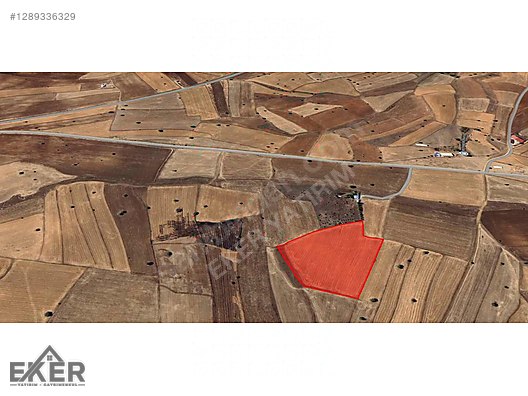 PORSUK KÖYÜNDE SATILIK 30 DÖNÜM TARLA