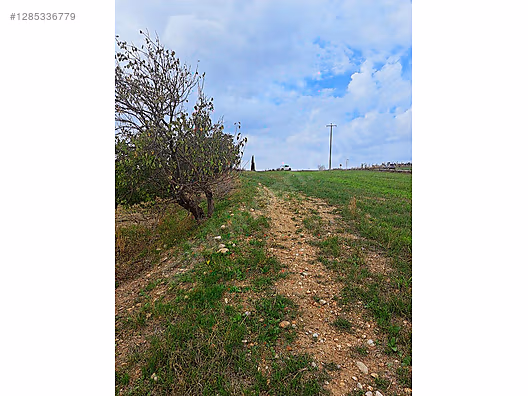 ATEŞ EMLAK'TAN TURGUTLU SİNİRLİ KÖYÜNDE HESAPLI SATILIK TARLA. #1285336779