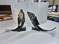 Afrika manda boynuzu Balık biblo