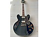 Epiphone Elektro Gitar