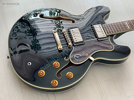 Epiphone Elektro Gitar