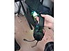 Used & Brand New Items / Gaming & Gamers Exclusive / Gaming Equipment / Gaming Headset