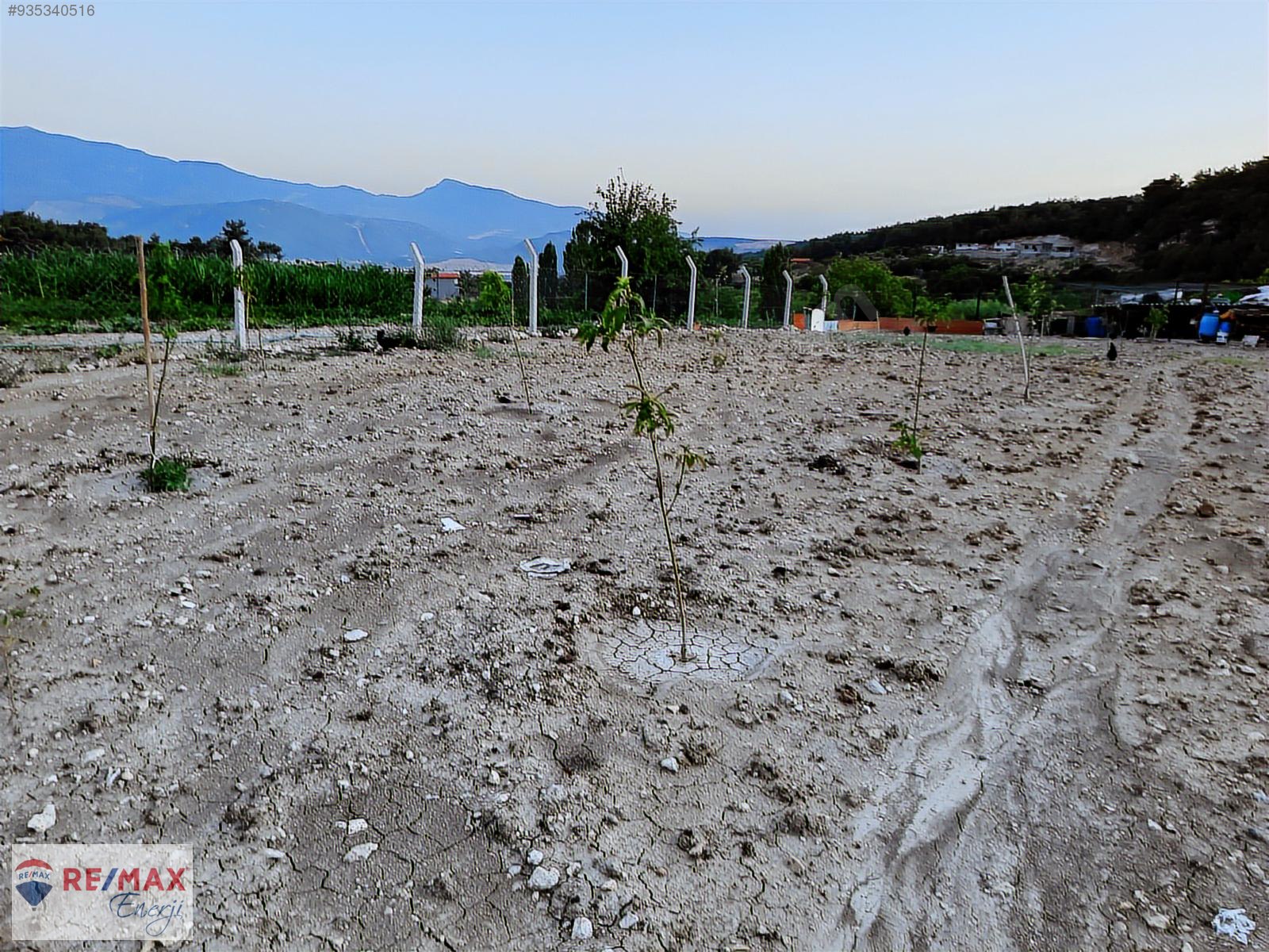 Kemalpaşa Damlacık Yaylasında Bahçe İçerisinde Müstakil Ev Satılık