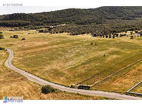 BARBAROS KÖYÜ'NDE YATIRIMA UYGUN TARLA