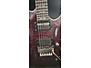 Schecter Elektro Gitar