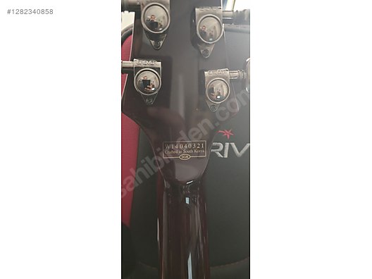 Schecter Elektro Gitar