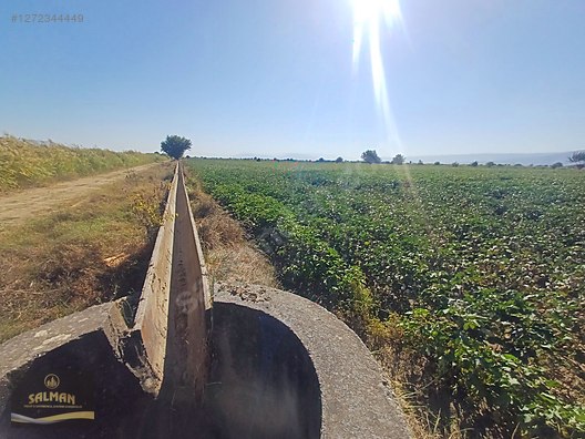 HACIALİOBASİNDA TARLA #1272344449