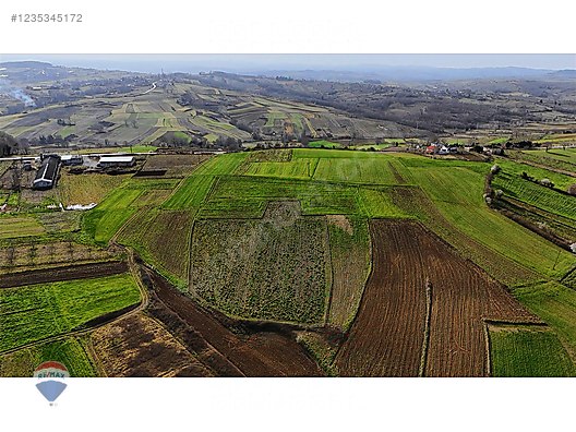 SAKARYA KAYNARCA UĞURLUDA 7.175.35 M² SATILIK