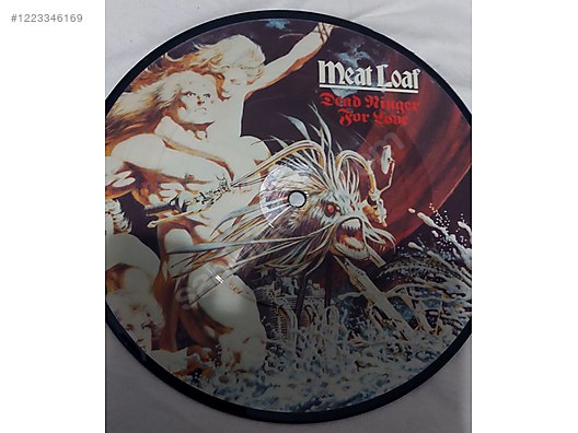 İkinci El ve Sıfır Alışveriş / Müzik / Albümler / Plak / Rock