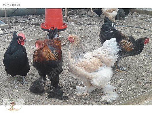 Tdo3tbvdowhpqm Tdo3tbvdowhpqm