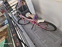 20 jant Çocuk bisikleti