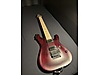 Schecter Elektro Gitar