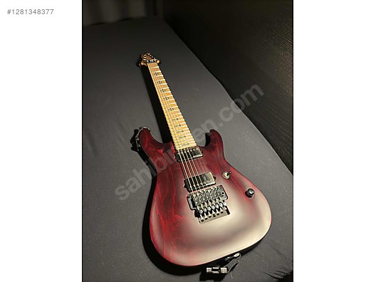 Schecter Elektro Gitar