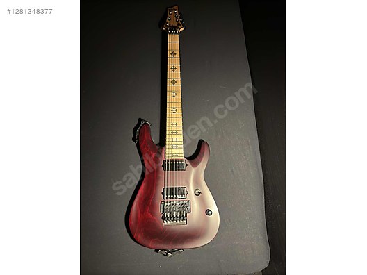 Schecter Elektro Gitar
