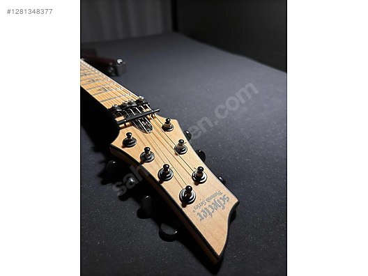 Schecter Elektro Gitar