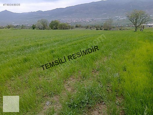 doburca satilik tarla satilik arsa ilanlari sahibinden com da 789348935 doburca satilik tarla satilik arsa ilanlari sahibinden com da 789348935