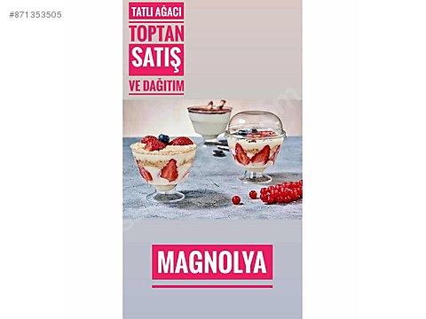 Magnolia Magnolya Toptan Istanbul Pastane Firin Cesitleri Yiyecek Ve Icecekler Sahibinden Com Da 871353505