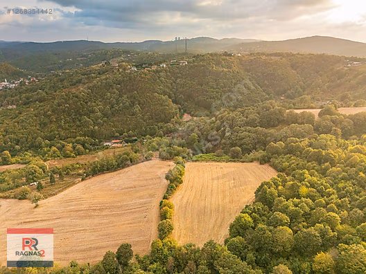 BEYKOZ MAHMUT ŞEVKET PAŞA MAHALLESİNDE SATILIK 2B NİTELİKLİ ! #1268354442