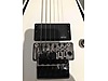 ESP Elektro Gitar