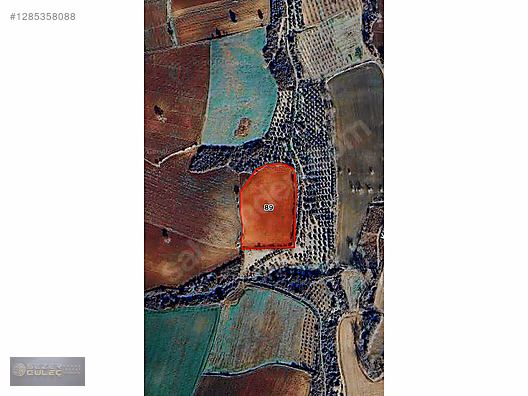 SEZER GÜLEÇ GAYRİMENKUL'DEN // DOĞLA MAH. // 11.500 M2 #1285358088