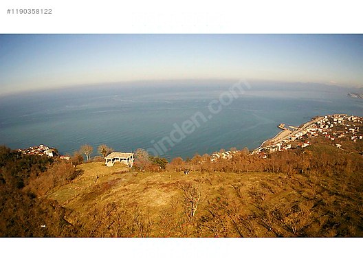 5.585 m2 Satılık Fındık Bahçesi / ARSA #1190358122